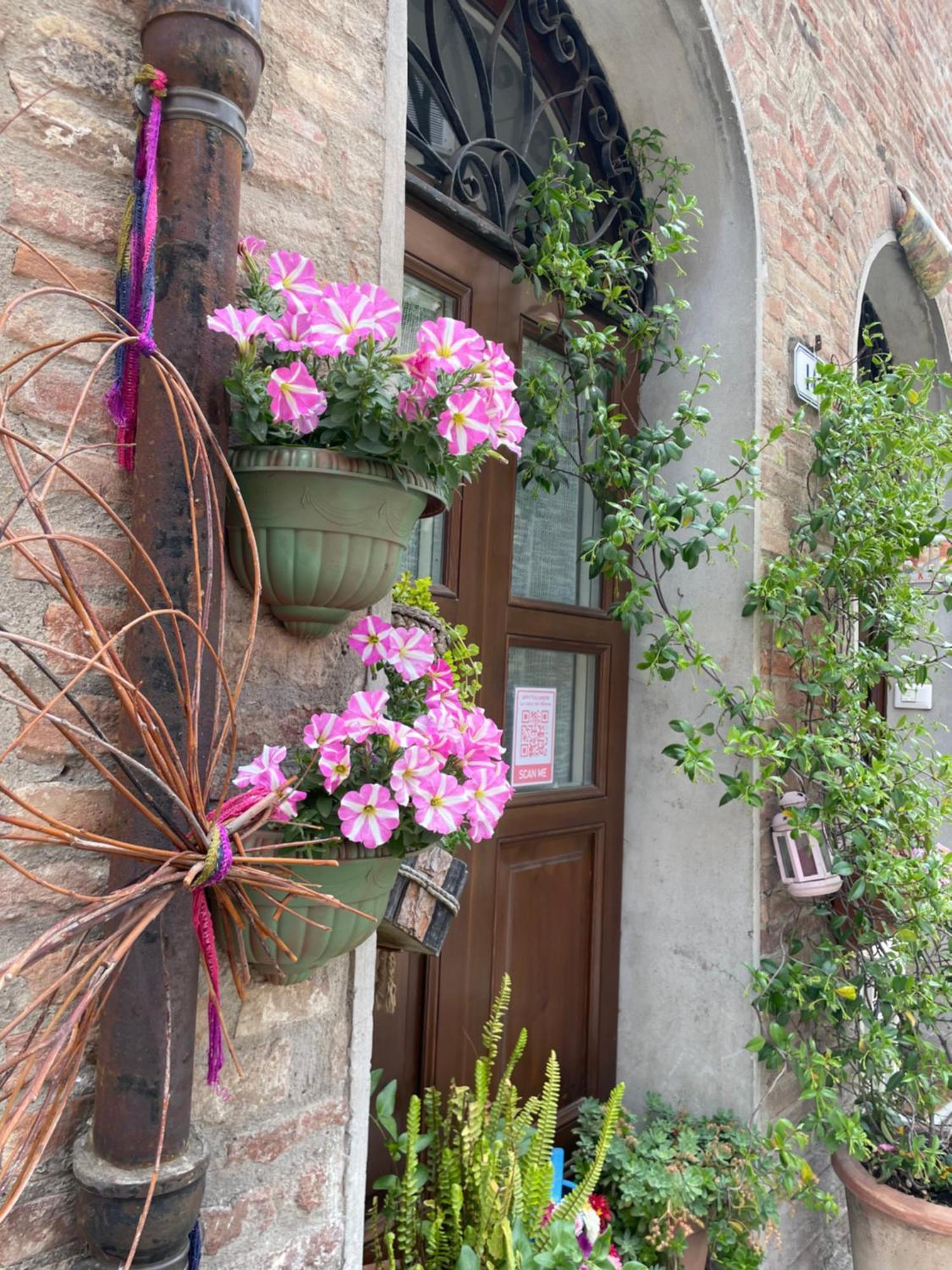 La Casa Dei Mimmi Hotel Città della Pieve Eksteriør billede